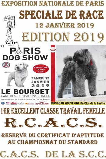 PARIS DOG SHOW MICHIGAN 2019